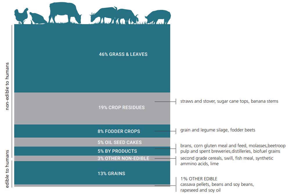 FAO 86% of livestock feed is unsuitable for human consumption.