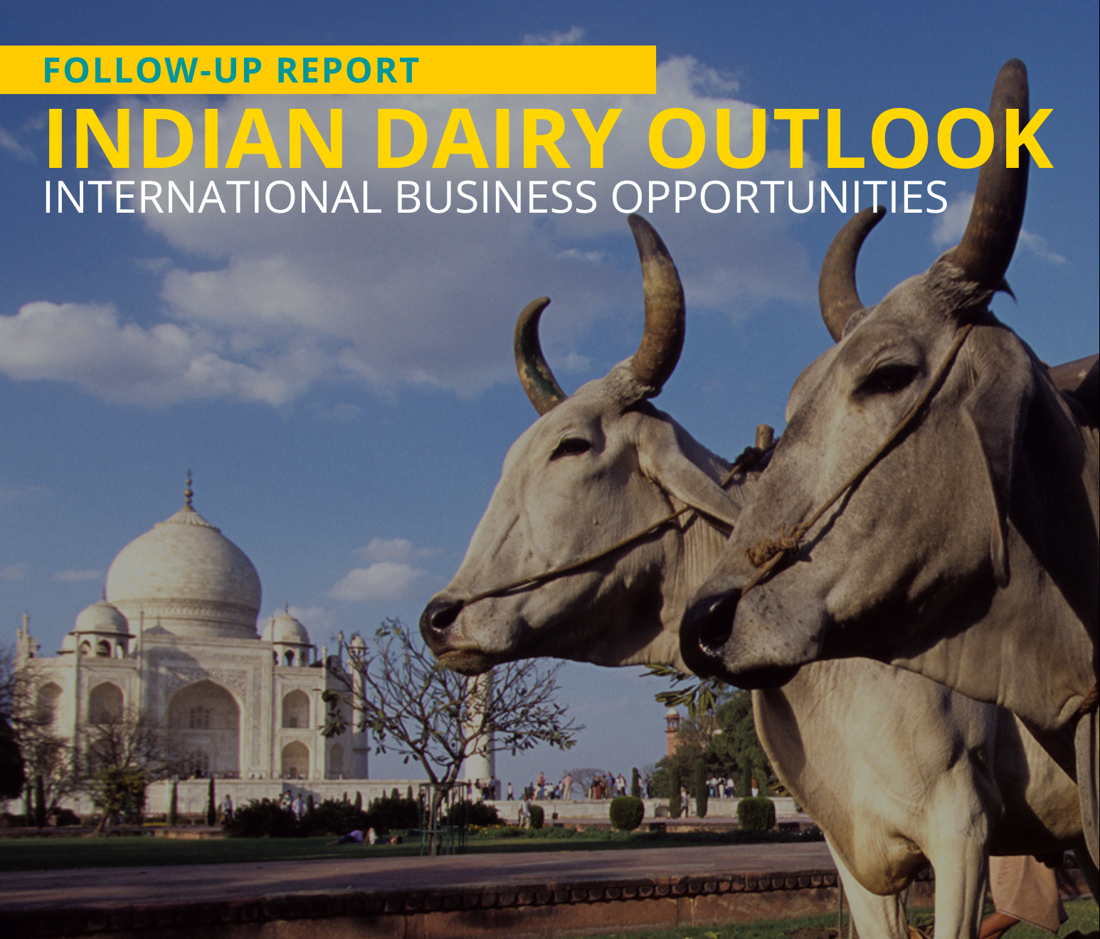 Indian Dairy Outlook