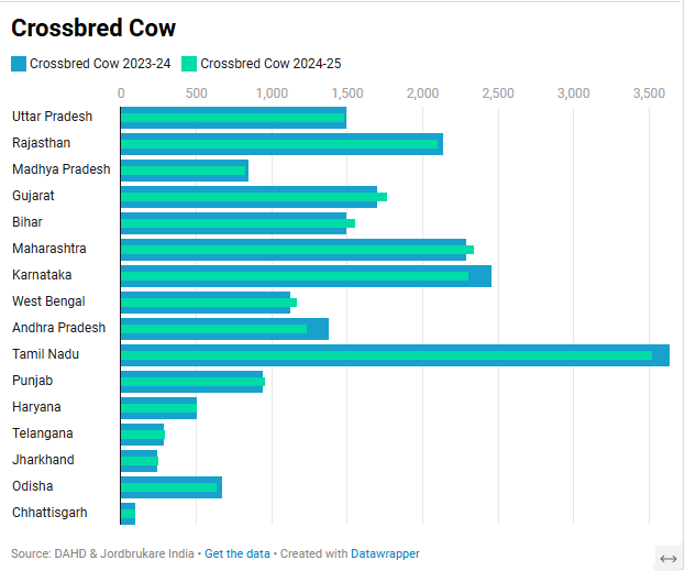 India’s Milk Growth Story Is No Longer About More Animals — It’s About the Right Animals