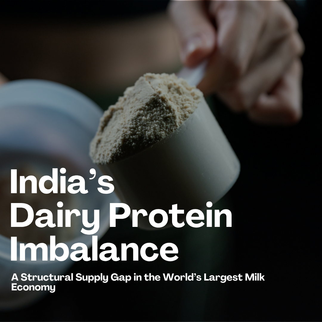 India’s Dairy Protein Imbalance: A Structural Supply Gap in the World’s Largest Milk Economy